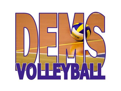 DEMS Vollyball 