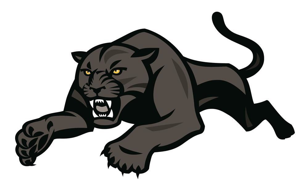 panther