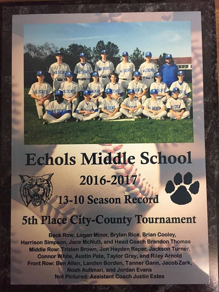 Plaque