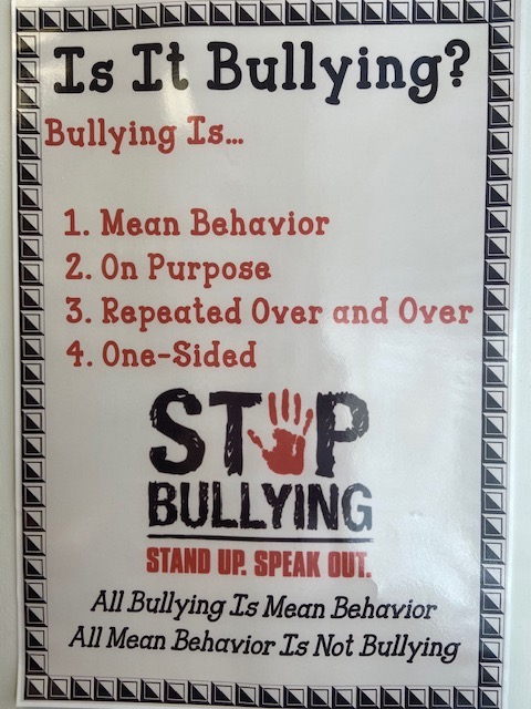 What is Bullying