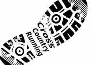 XC 