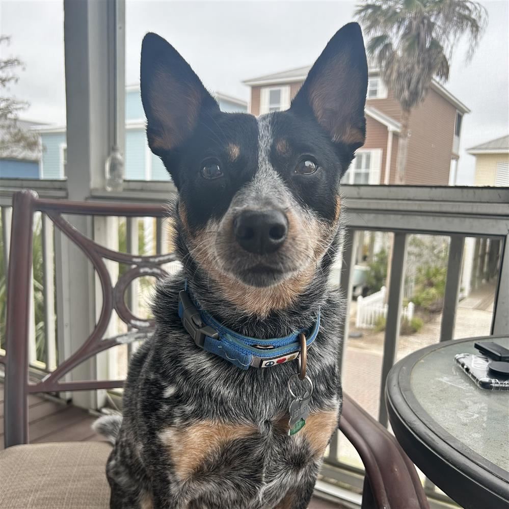 Lilah Mae